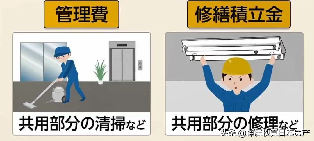 日本买二手房避坑指南,第一次买房如何看房价