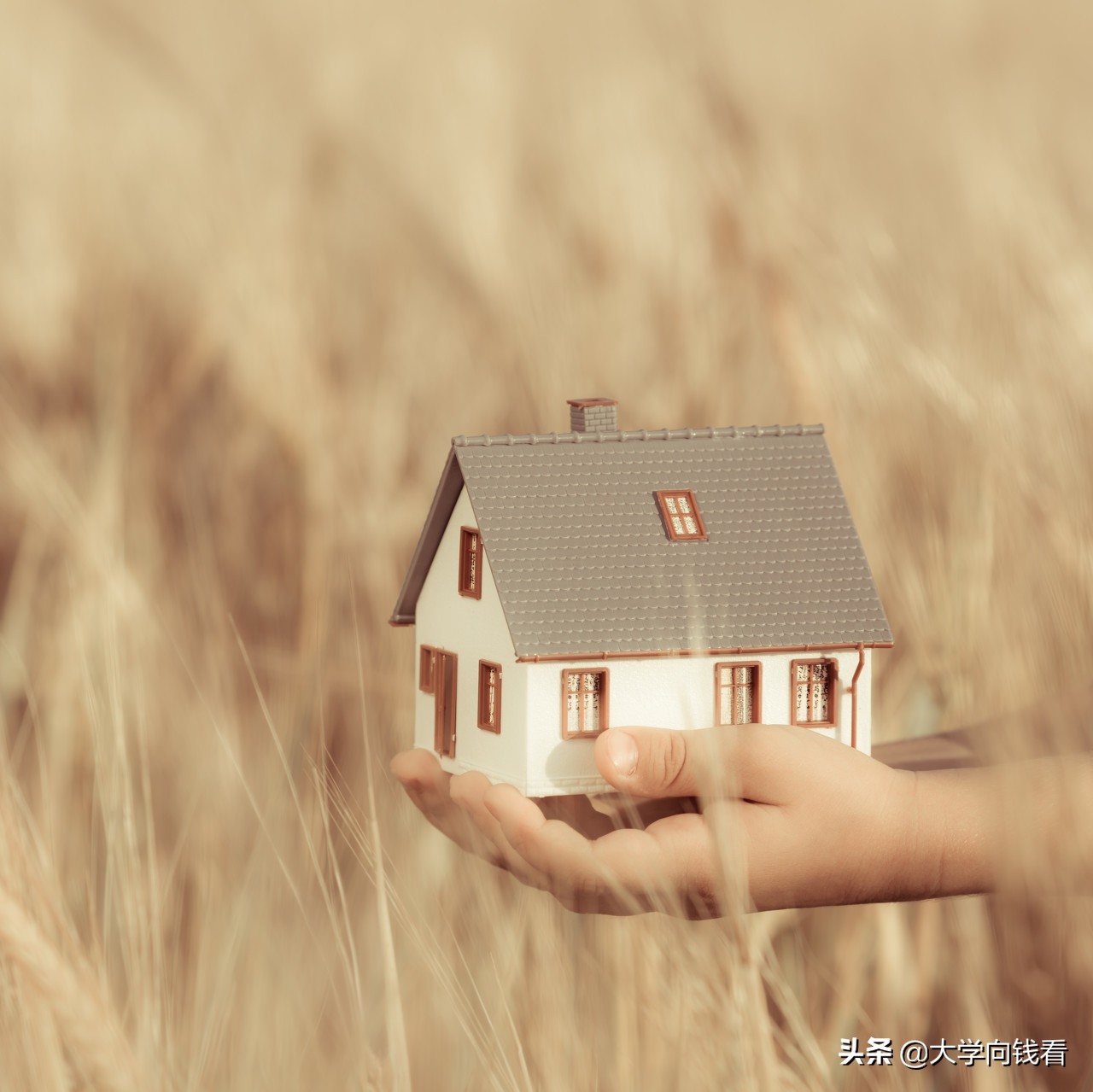 获取大学生流量降龙十八掌之第三掌：成群引流​