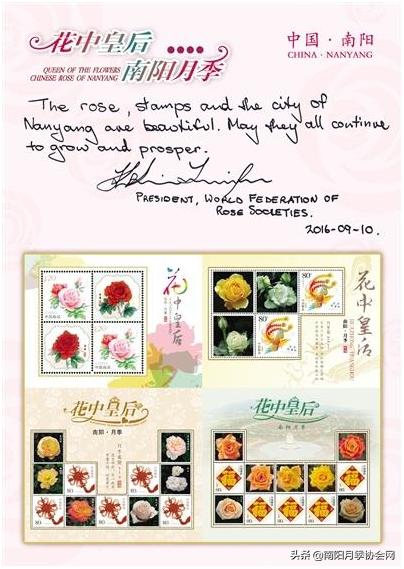南阳世界月季之乡的金字招牌,聚焦南阳月季之美展示