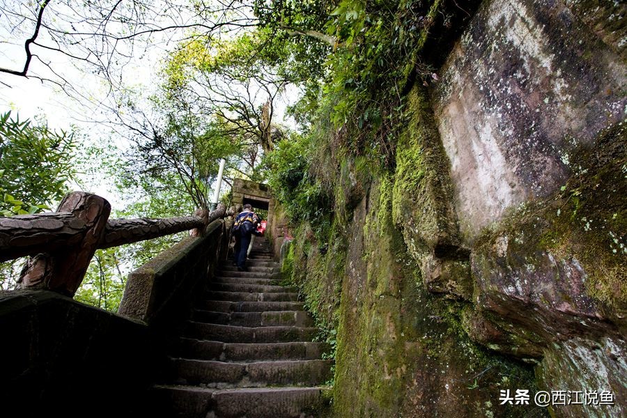美在“綦”中：“风光秀丽似桂林，水碧峰翠赛江南”