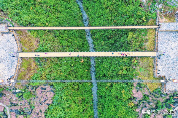 重庆这片花海你还没有来打开，那你就输了