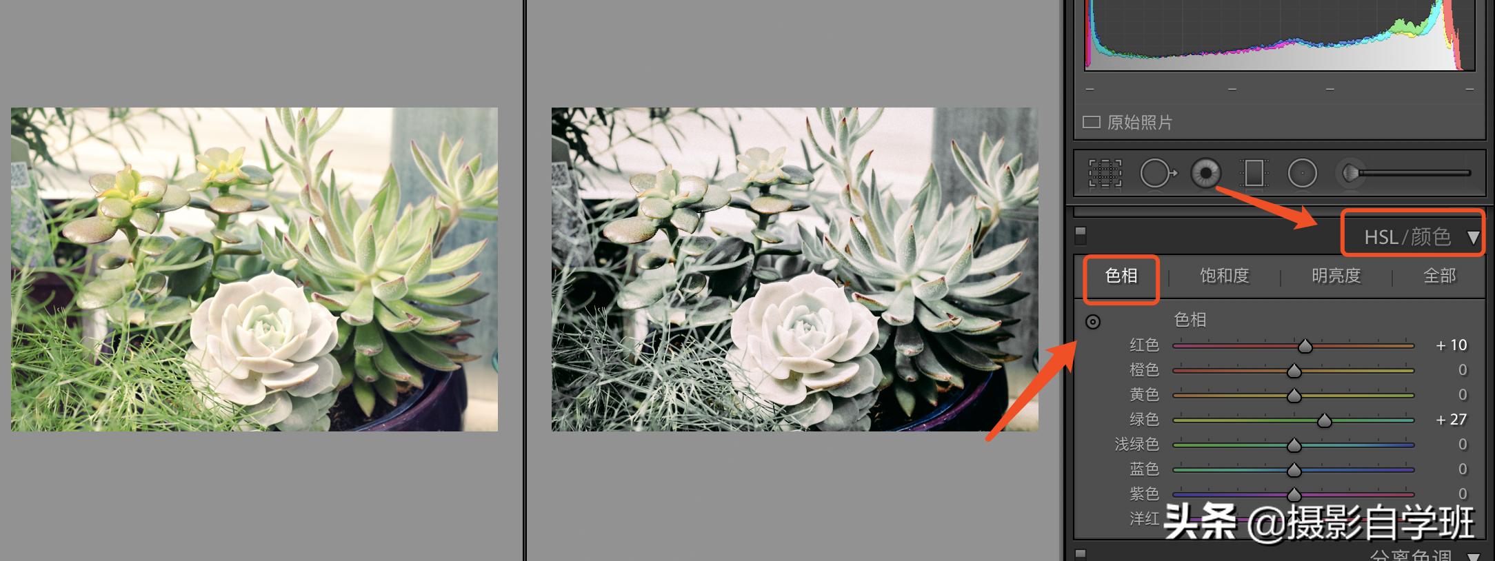 风景照片调色教程lr调色思路,lr修图红色怎么调成青色