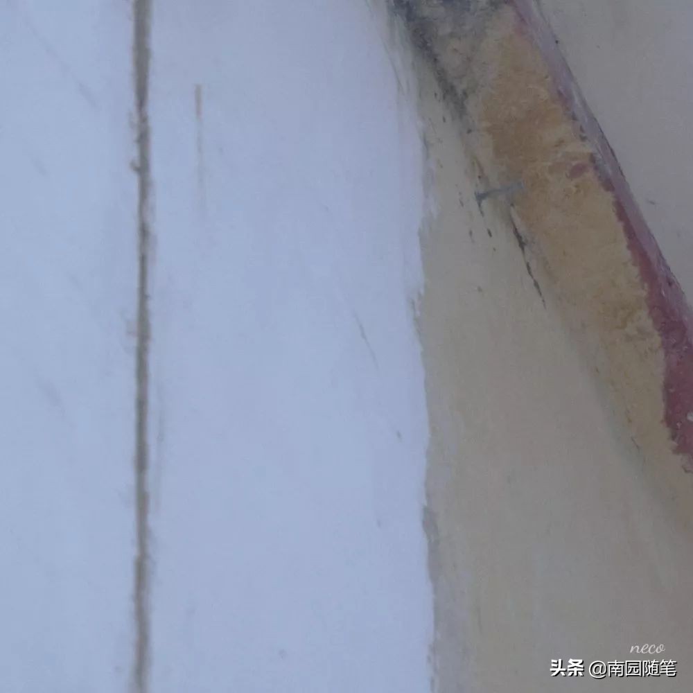 世界尽头与冷酷仙境书籍,书籍的力量名言名句