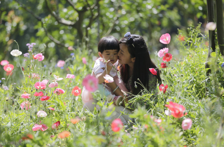 五一自驾游推荐景点武汉,武汉适合周末出游的地方