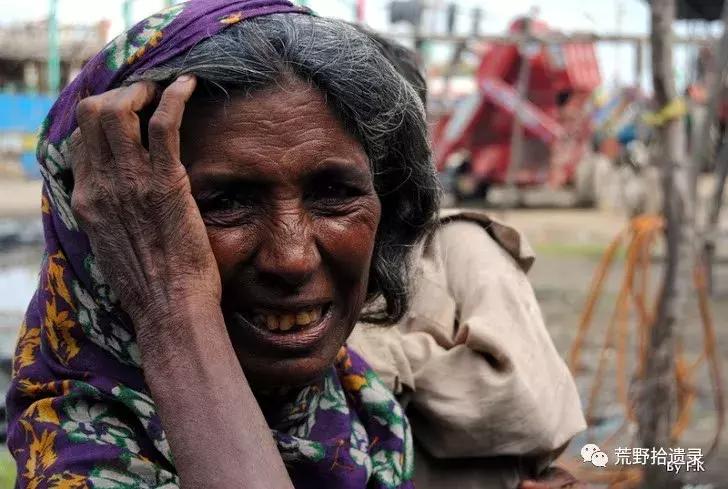 改变世界的植物:骆驼蓬PeganumharmalaL.