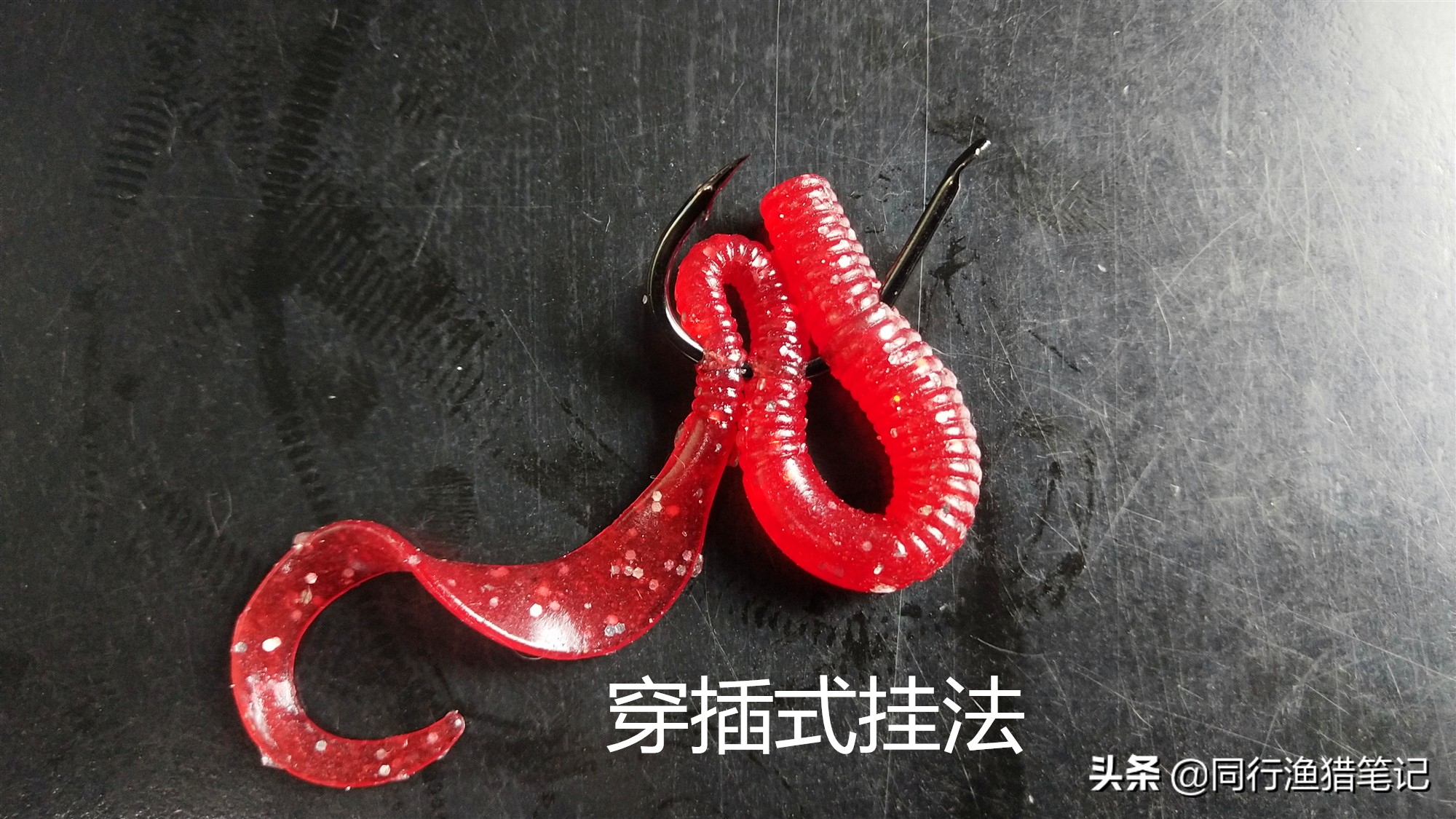 正确蚯蚓挂钩法钓小杂鱼,鱼比较小蚯蚓怎么挂钩