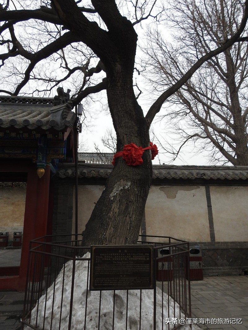 人间仙境蓬莱阁视频,人间仙境蓬莱阁风景区