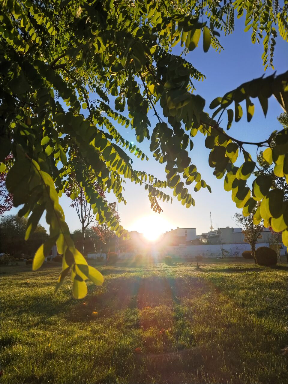 进入了抑郁症怎么办,从抑郁症里走出来的人会怎么样
