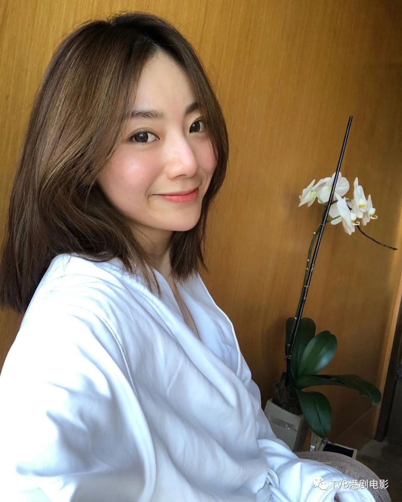 香港新闻主持人周嘉仪,翡翠台周嘉仪什么时候离开tvb的