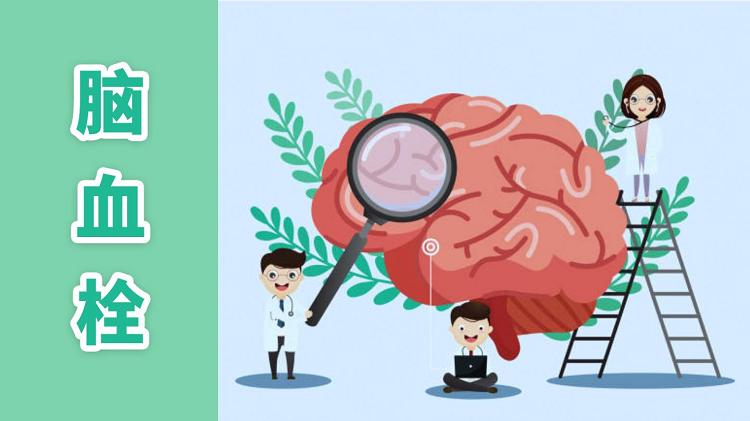 中老年人,想要远离脑血栓,却把三七当茶喝,这种认知会有损健康