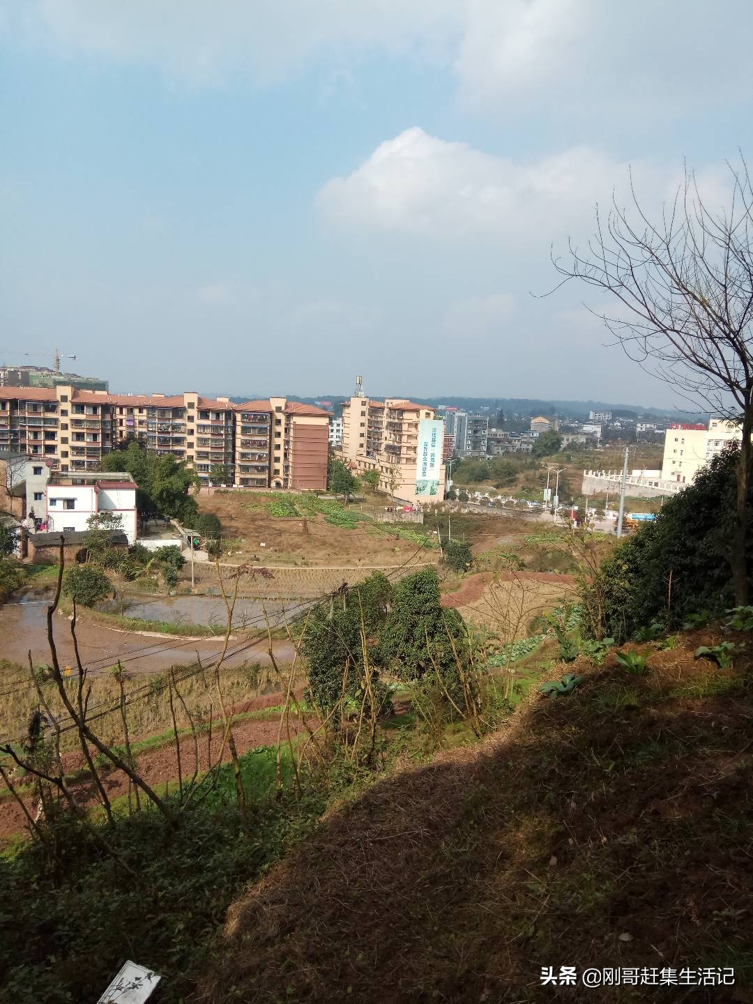 个人蔬菜配送怎样做,卖蔬菜送货上门用什么方法好