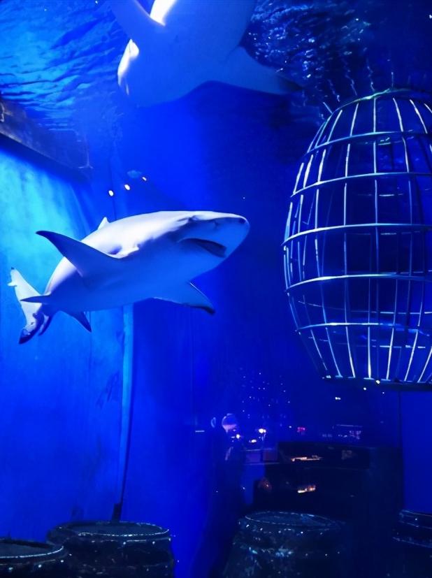 辽宁省14个市抚顺排第几,辽宁抚顺都有哪些区