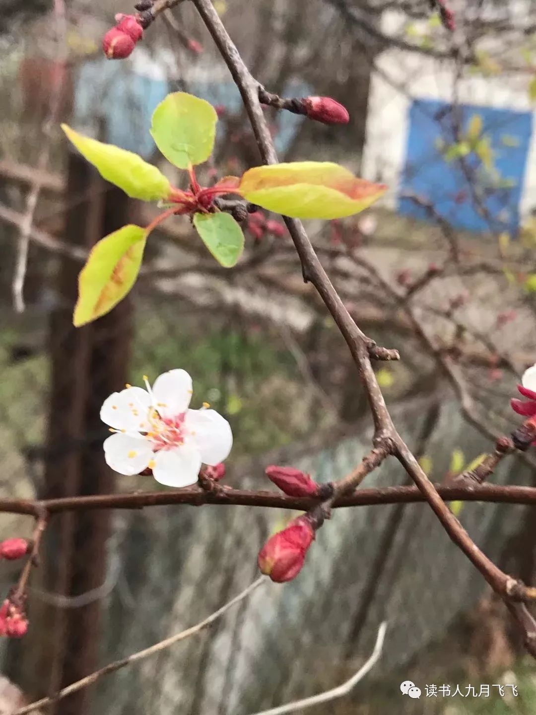 普通人如何投资赚钱,普通人怎样投资最好