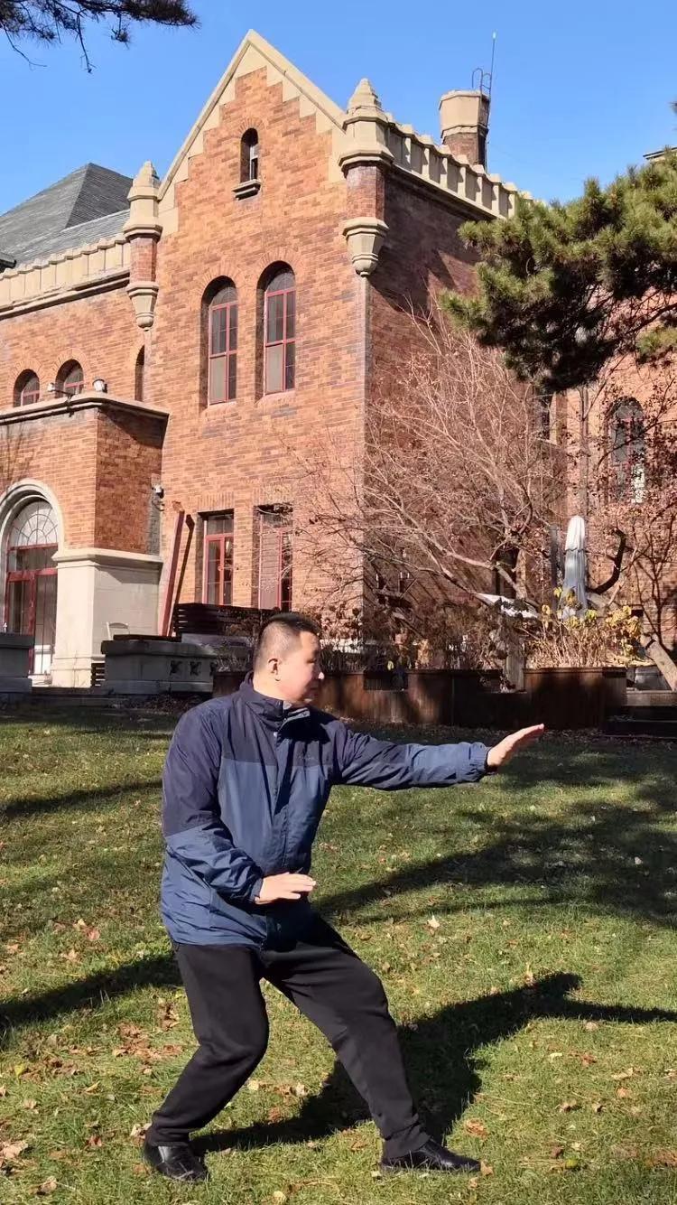 形意拳一年打死人的说法是真的吗,形意掌杀招