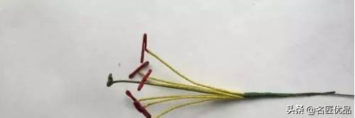 母亲节礼物九块钱的花,母亲节礼物该送什么花好