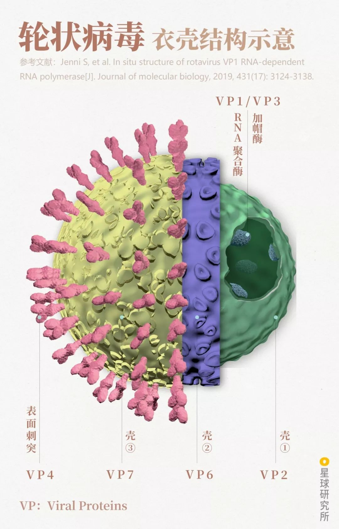 鍋囧鐥呮瘨鎰熸煋浜嗘垜,鍋囧鐥呮瘨鎰熸煋浜嗕綘