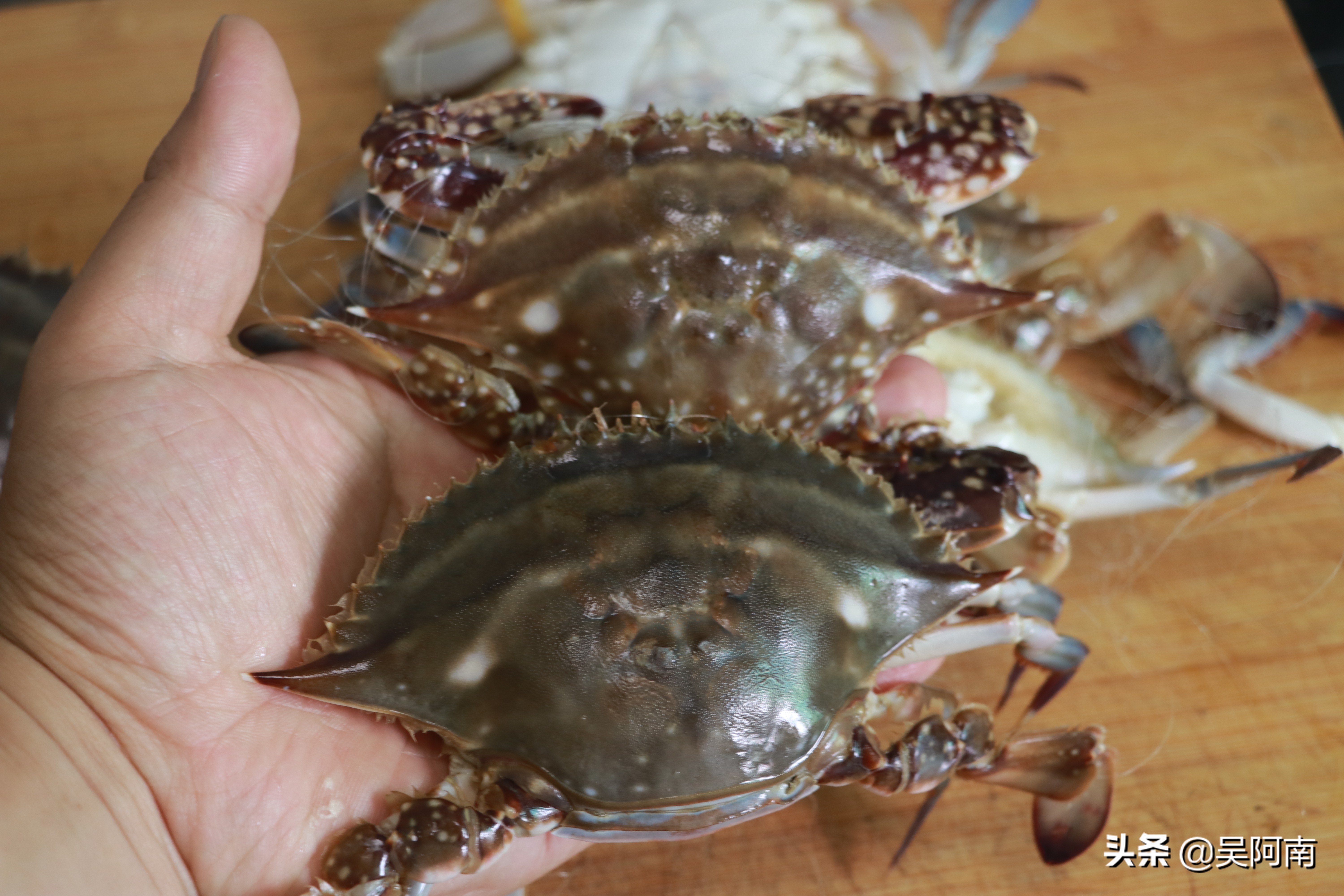 什么时候的螃蟹最肥美,教你挑选螃蟹的8个技巧