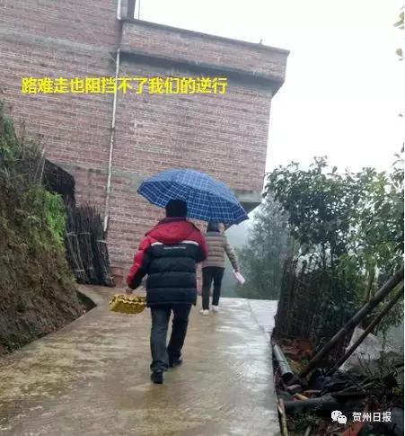 群众点单政府跑腿活动方案,群众点单委员接单