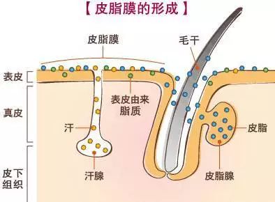 舔舔舔！唇炎找上门来怎么办？！