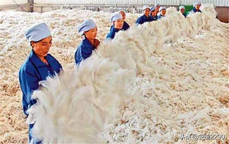 羊毛与羊绒毛衣如何辨认,毛衣羊毛和羊绒哪个质量好