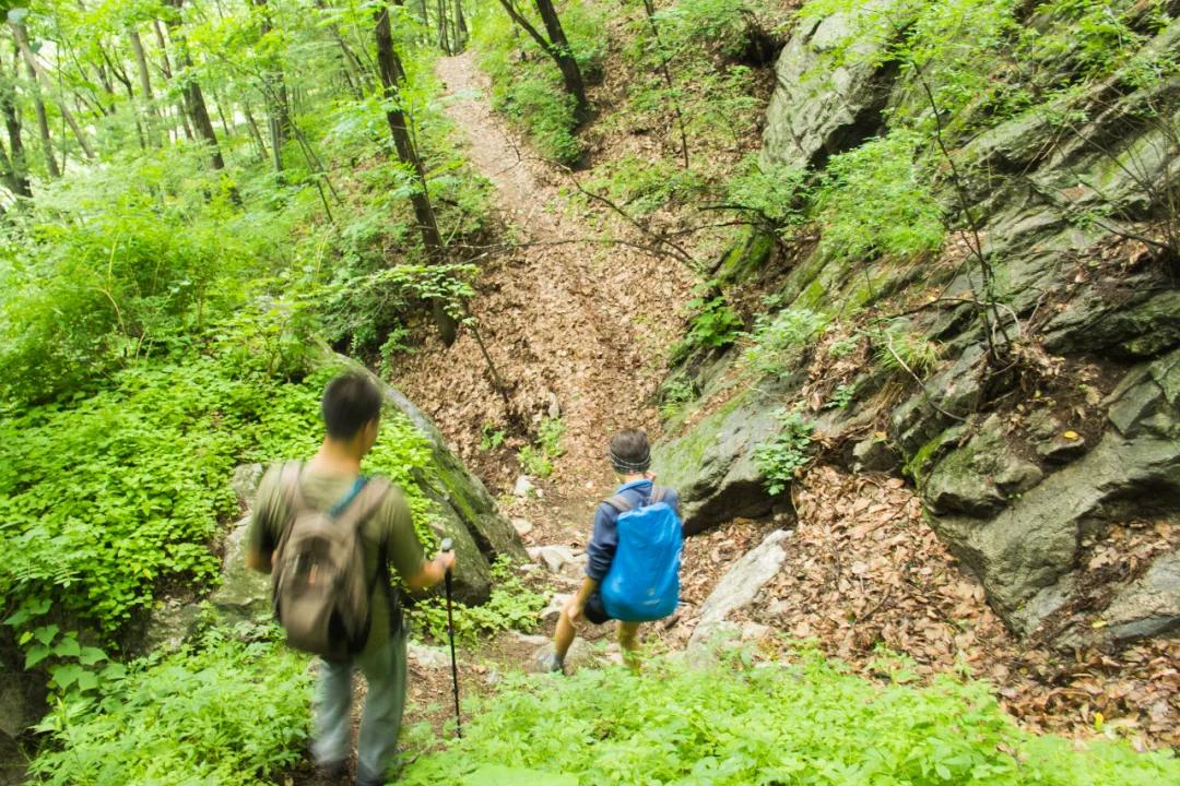 秦岭沣峪口上山有哪些景点,秦岭大坝沟瀑布