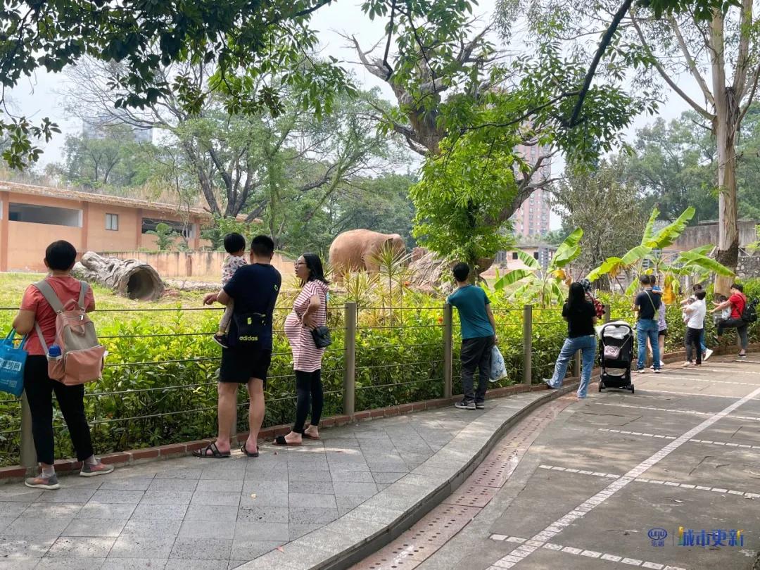 广州动物园什么时候搬迁,广州动物园搬迁