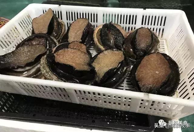 水煮贝壳类海鲜煮多久,海边海鲜用什么水煮好吃