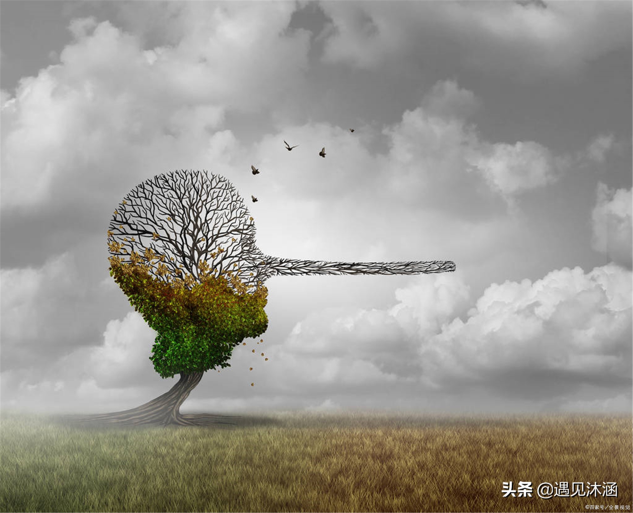 好好说话是修养态度明确是教养,好好说话的人的生活态度