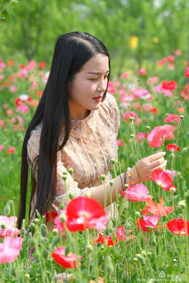 大美新蔡生态水城,大美新蔡等你来