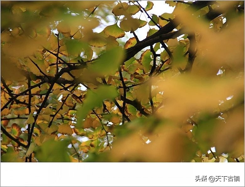 成都望江楼对联原文,天下名楼完整版