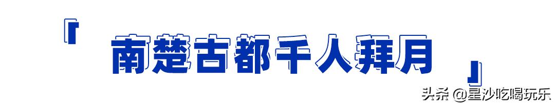 中茂城惊现海狮、海的女儿！带你开启「海洋萌宠奇遇记」
