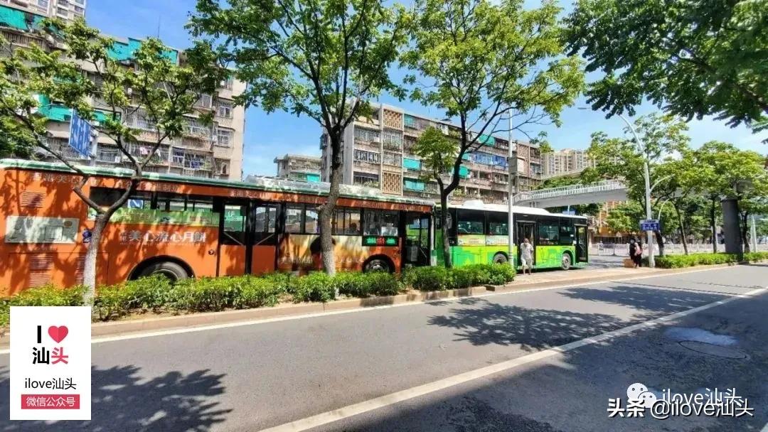 金砂西路西延最新项目,金砂西路西延路线图高清