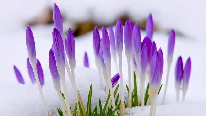 教师腹有诗书气自华,读新时代教师专业成长的读后感