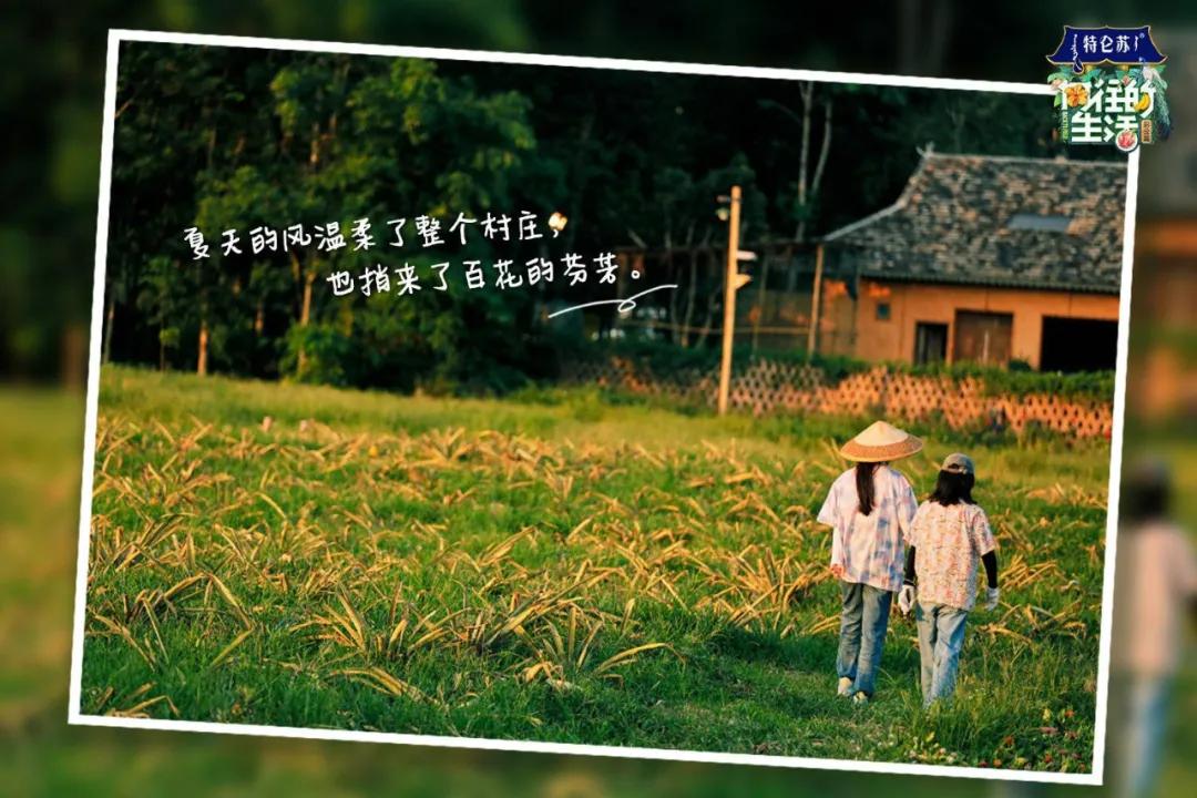 向往的生活1-6季文案,向往的生活一屋两人三餐四季文案