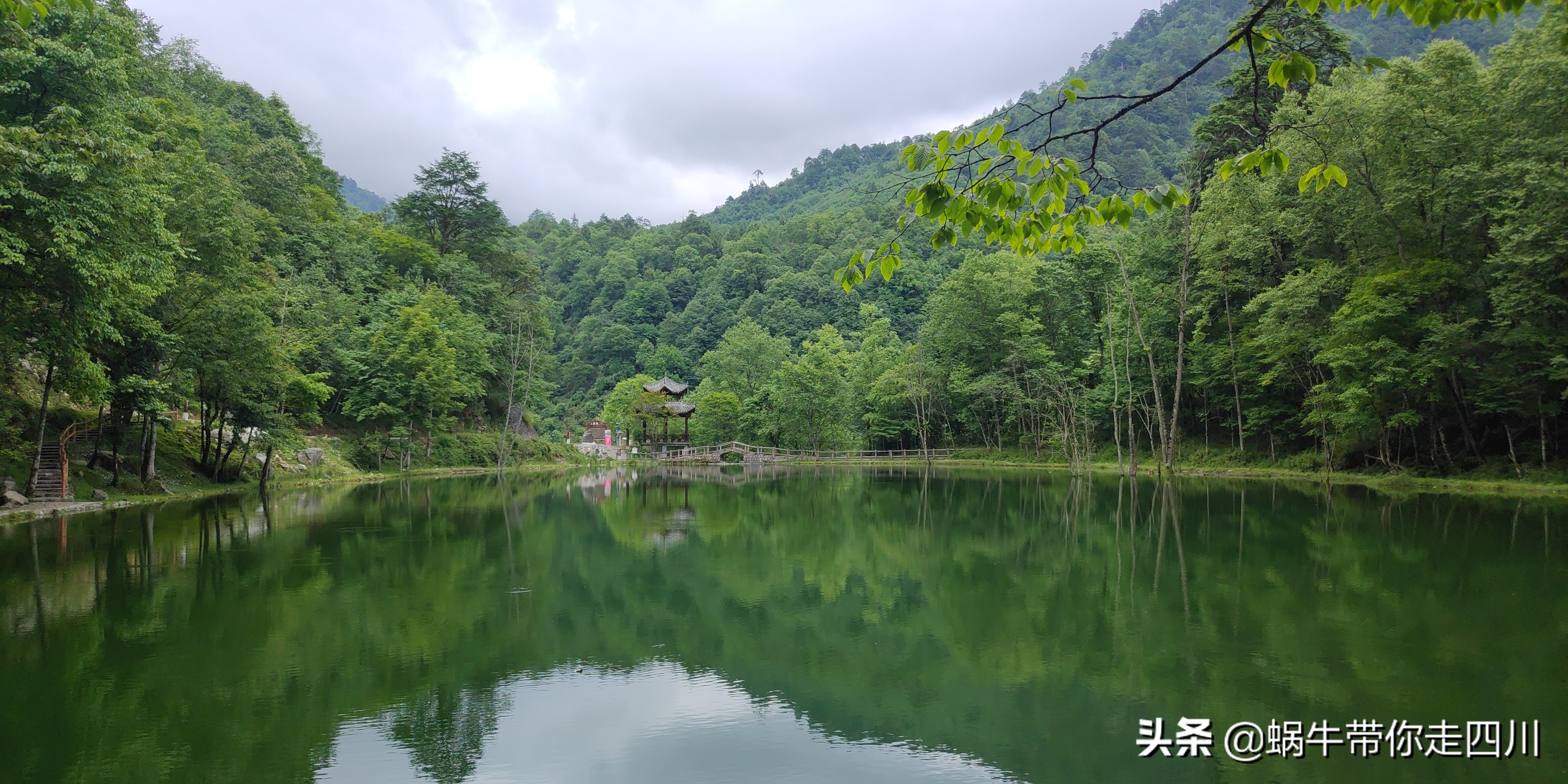带小朋友出去看小动物,带小孩去海洋动物园