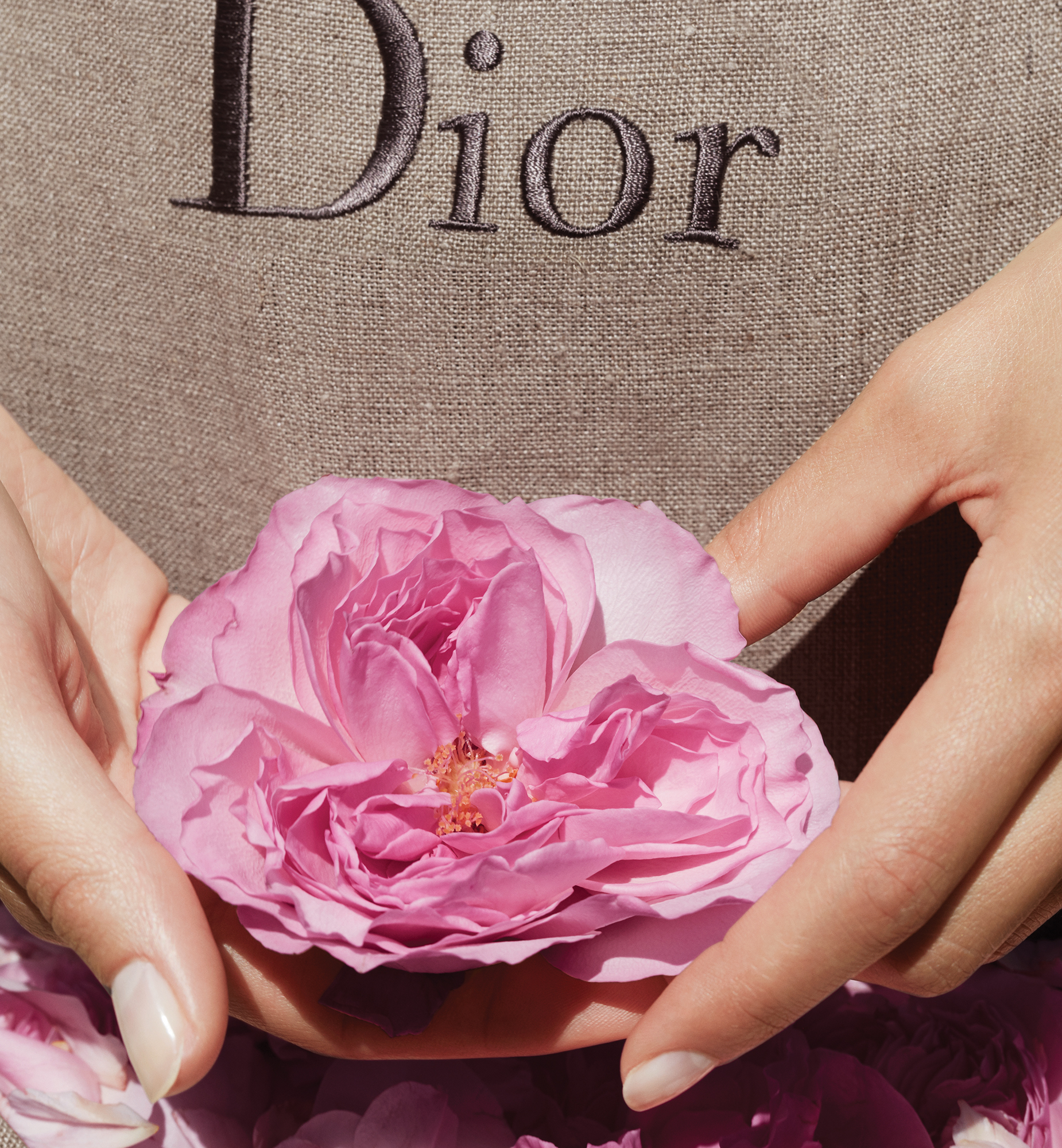 香水使用小常识你真的会用香水吗,香水的误区有哪些