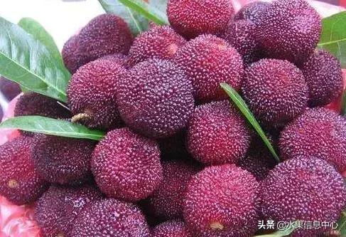 中国水果大全,中国水果大全图片和名字