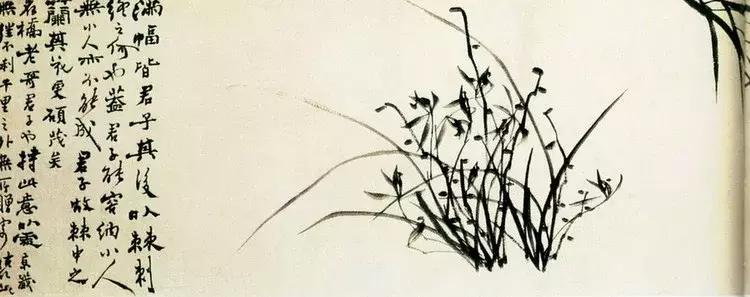 郑板桥画的是什么品种竹子,郑板桥画的横幅竹子