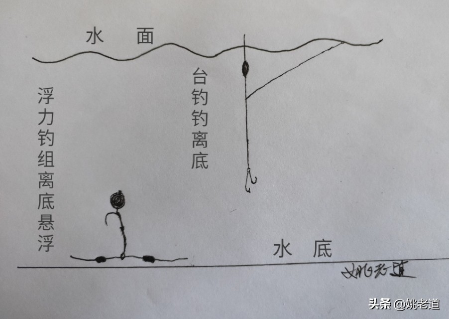 欧鲤远投钓法视频教程,欧鲤钓法适合什么水域