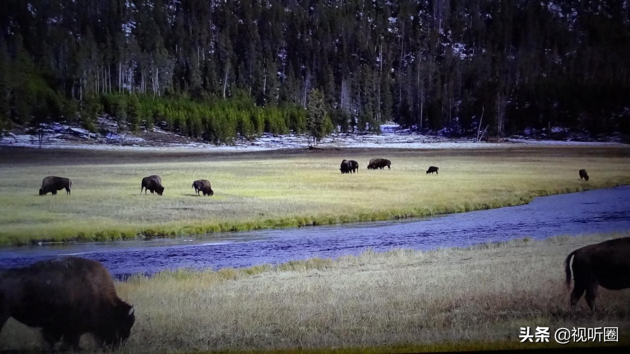 redmi全新巨幕电视,98英寸redmi智能电视