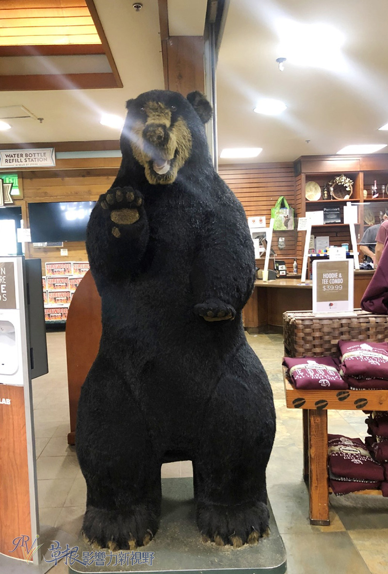 阿尔山森林公园住宿攻略,红杉树酒店住宿