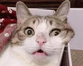 台州电商执照,台州电商营业执照