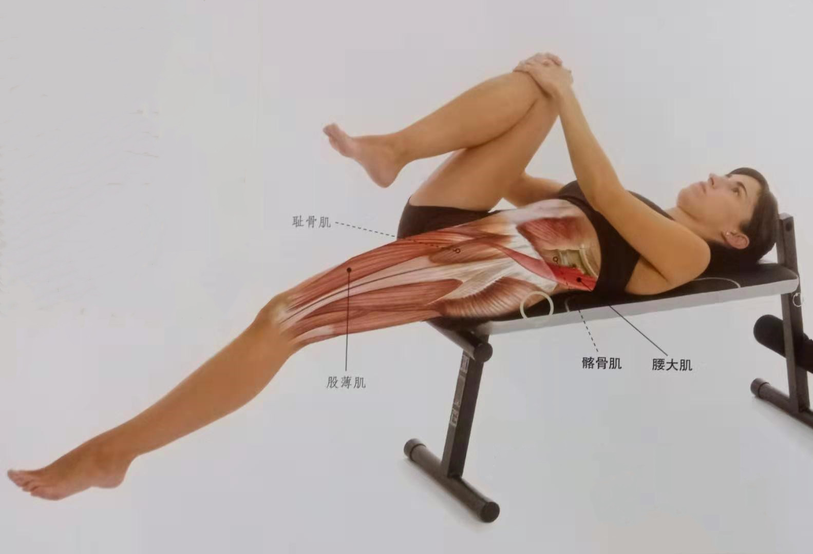 延迟性肌肉酸痛缓解几天继续锻炼,肌肉延迟性酸痛和训练效果