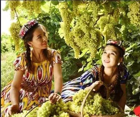 南疆小县城的百年饮料，制作技术堪比茅台，被誉为中国白兰地