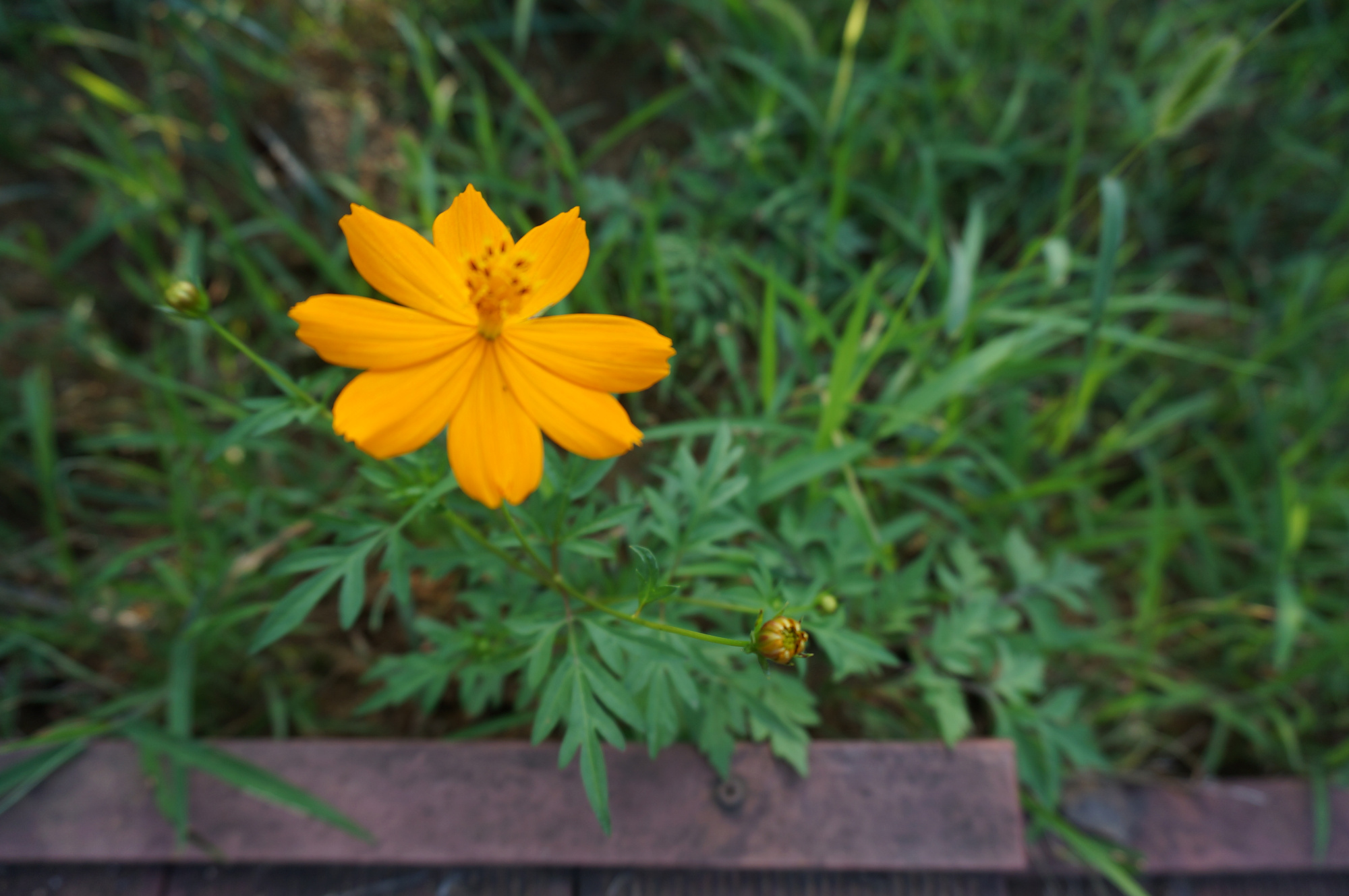 丹江口小众景点,丹江口好玩吗值得去吗