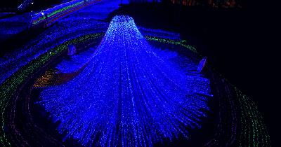 新年元旦迎接活动,新年新气象迎接新的一天