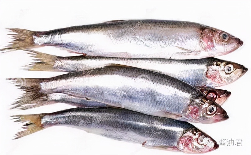 英国超市的鱼类有哪些,英国超市鱼的种类