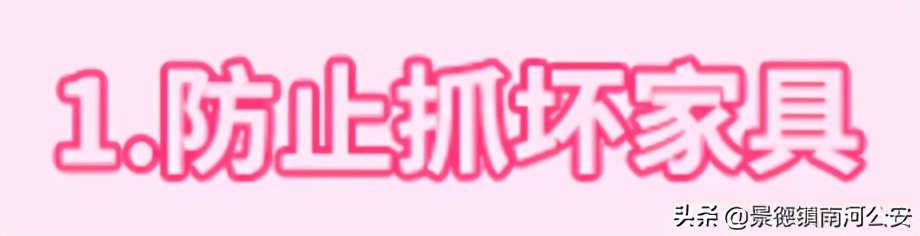 “割声带、截肢、电击,当爱变成我的噩梦”