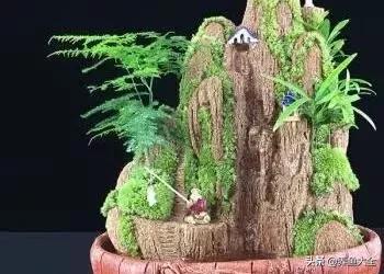 上水石盆景制作方法是什么,上水石盆景制作视频教程完整版