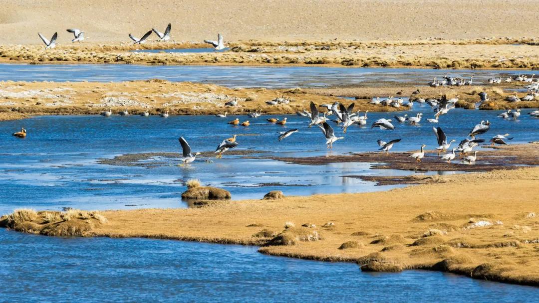 值得一去的边境城市,中国四个边境